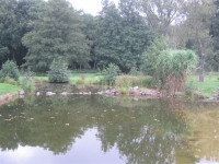 Bild Schwimmteich