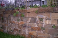 Bild Grundst�ckseinfriedung